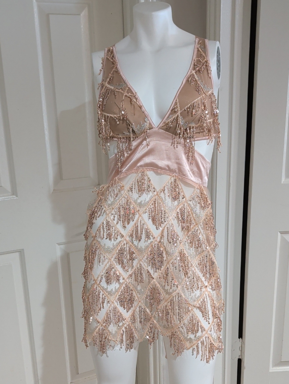 Bella Barnett Sheer Sequin Fringe V-Neck Mini Dress in Blush Women's Small